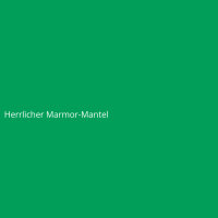 Herrlicher Marmor-Mantel