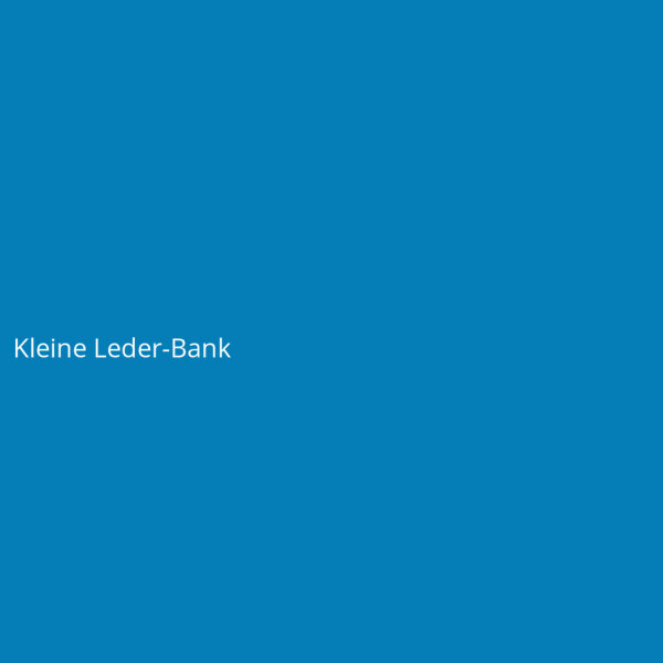 Kleine Leder-Bank