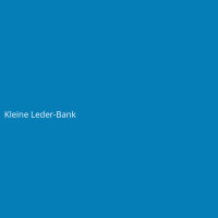 Kleine Leder-Bank